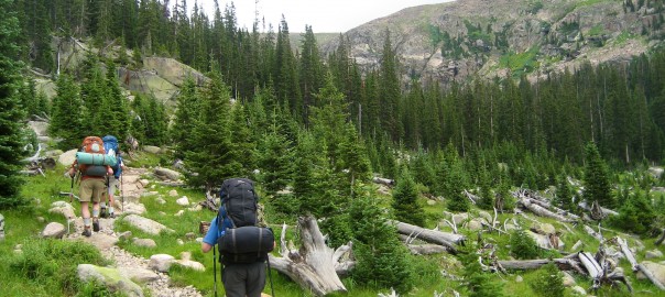 Hikers_on_the_North_Inlet_Trail