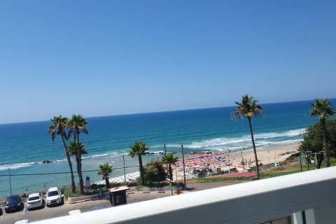 Bat Yam Appartements -  SEAFRONT STUDIO NEXT TO TEL AVIV - Main Image